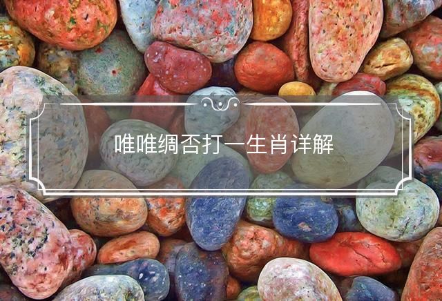 唯唯绸否打一生肖详解