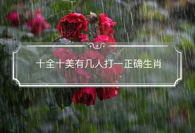 十全十美有几人打一正确生肖