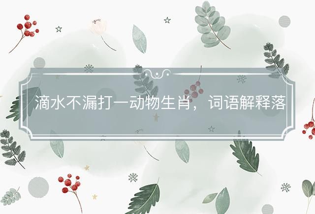 滴水不漏打一动物生肖，词语解释落实