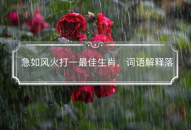 急如风火打一最佳生肖，词语解释落实