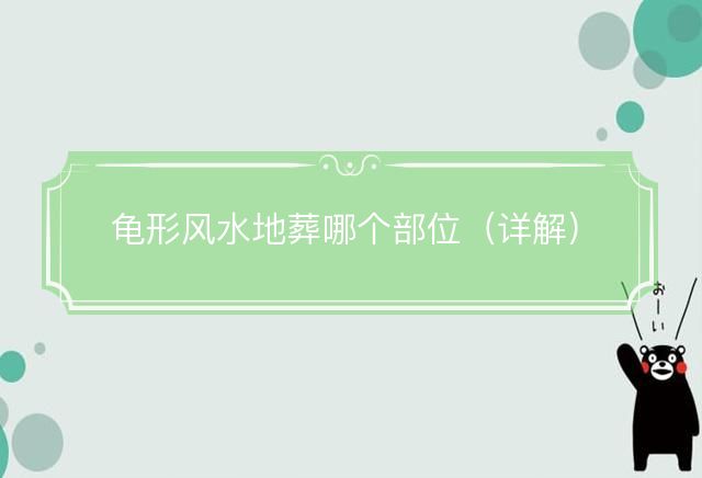 龟形风水地葬哪个部位