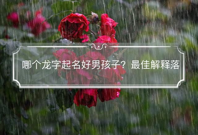 哪个龙字起名好男孩子？最佳解释落实