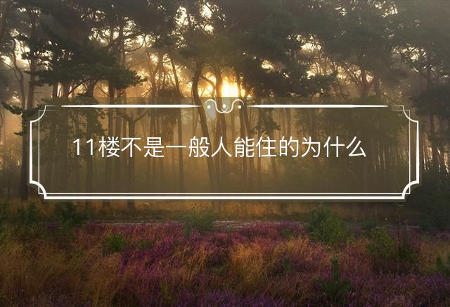 11楼不是一般人能住的为什么