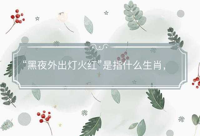 黑夜外出灯火红是指什么生肖，词语解释释义落实