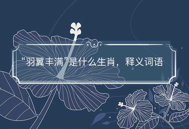 羽翼丰满是什么生肖，释义词语解释落实