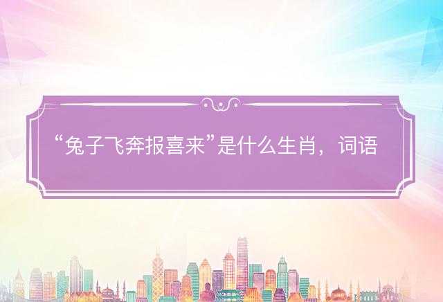 兔子飞奔报喜来是什么生肖，词语解释解答落实