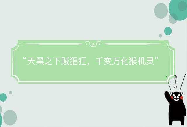 天黑之下贼猖狂，千变万化猴机灵是什么生肖，精选解义解释解答