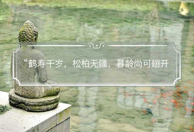 鹤寿千岁，松柏无疆，暮龄尚可翅开张是什么生肖，最佳释义解释词语落实