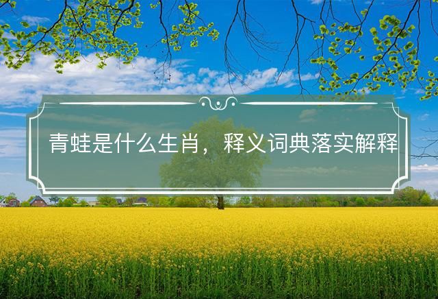 青蛙是什么生肖，释义词典落实解释解义