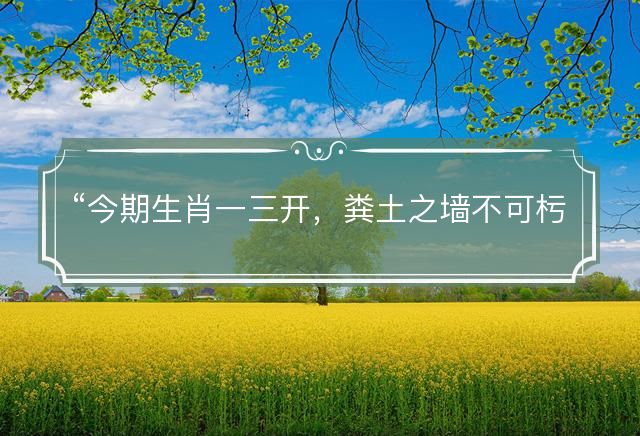 今期生肖一三开，粪土之墙不可杇是什么生肖，释义词语解释落实