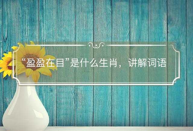 盈盈在目是什么生肖，讲解词语解释落实