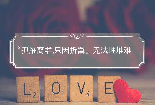 孤雁离群,只因折翼。无法埋堆难搵食是什么生肖，释义词语解释落实
