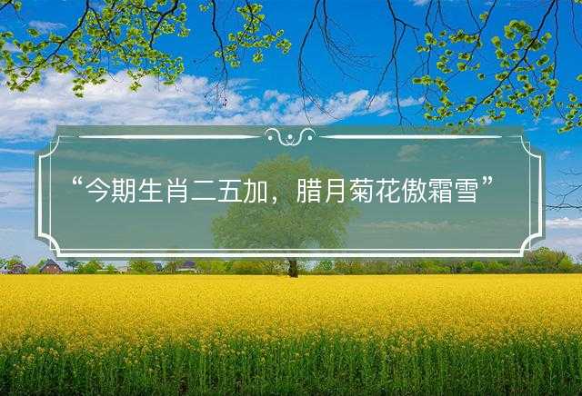 今期生肖二五加，腊月菊花傲霜雪是什么生肖，猜打一正确生肖精选答案解释落实