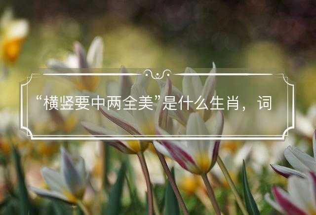 横竖要中两全美是什么生肖，词语解释释义落实