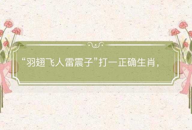羽翅飞人雷震子打一正确生肖，最佳释义解释词语落实