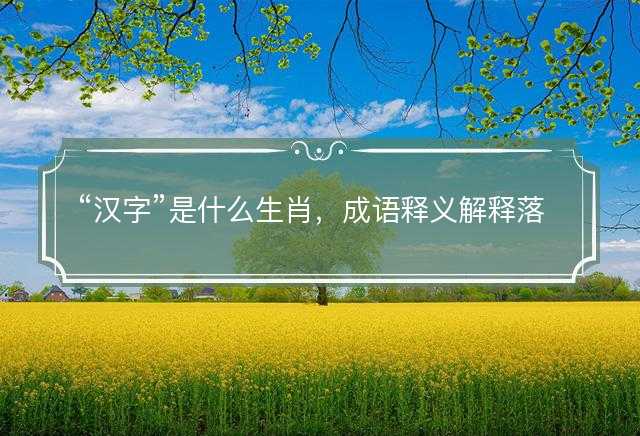 汉字是什么生肖，成语释义解释落实