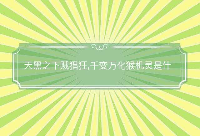 天黑之下贼猖狂,千变万化猴机灵是什么生肖，精准解析落实