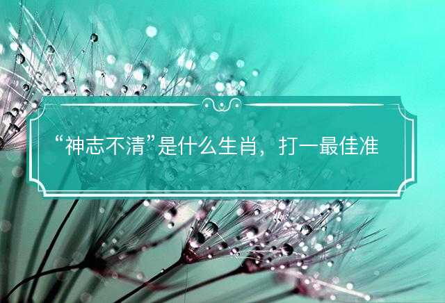 神志不清是什么生肖，打一最佳准确正确生肖最佳答案释义解释落实