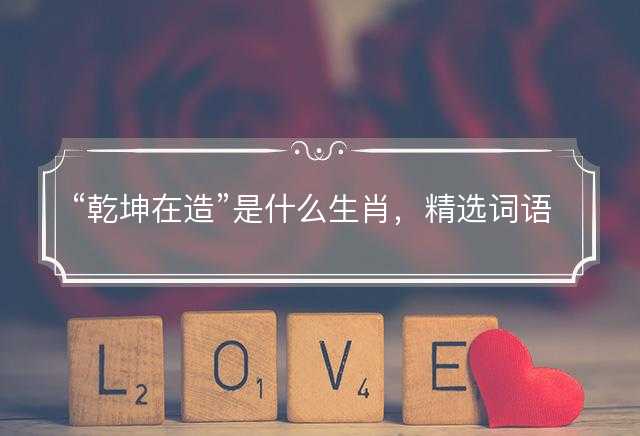 乾坤在造是什么生肖，精选词语解答释义