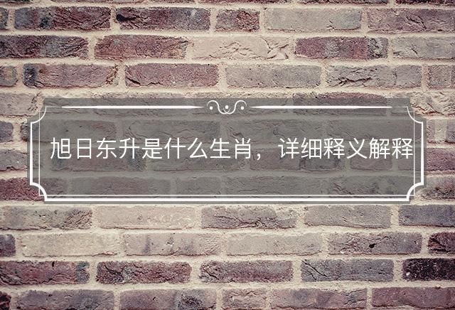 旭日东升是什么生肖，详细释义解释落实