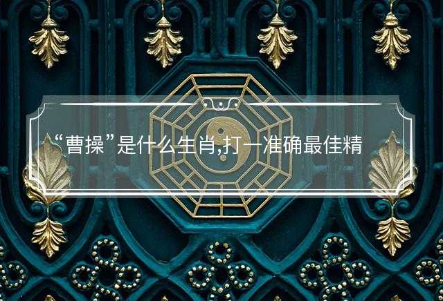曹操是什么生肖,打一准确最佳精选解释解答