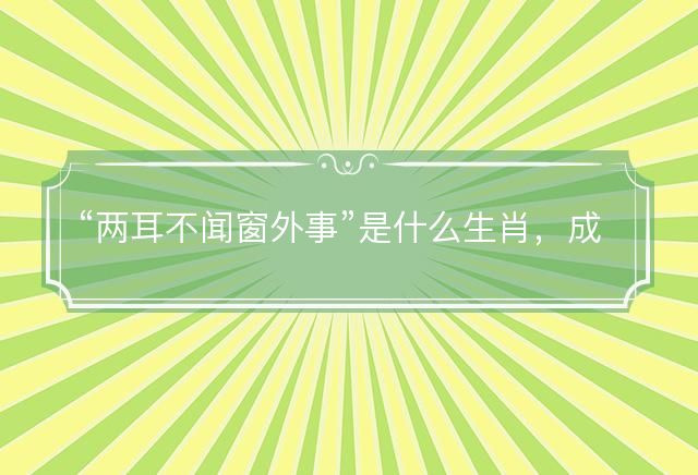 两耳不闻窗外事是什么生肖，成语释义解释落实