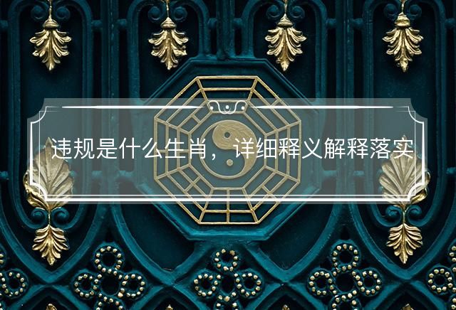 违规是什么生肖，详细释义解释落实