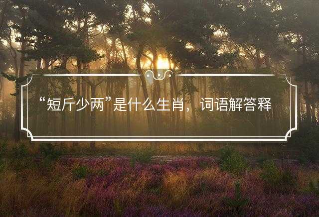 短斤少两是什么生肖，词语解答释义