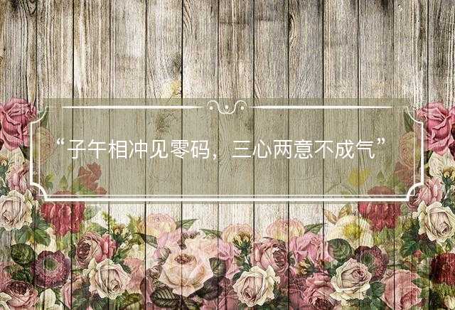 子午相冲见零码，三心两意不成气打一最佳正确生肖，是什么生肖精选解析释义解释落实