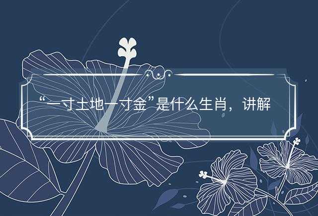 一寸土地一寸金是什么生肖，讲解词语解释落实
