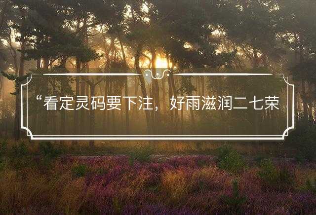 看定灵码要下注，好雨滋润二七荣是什么生肖，释义词语解释落实