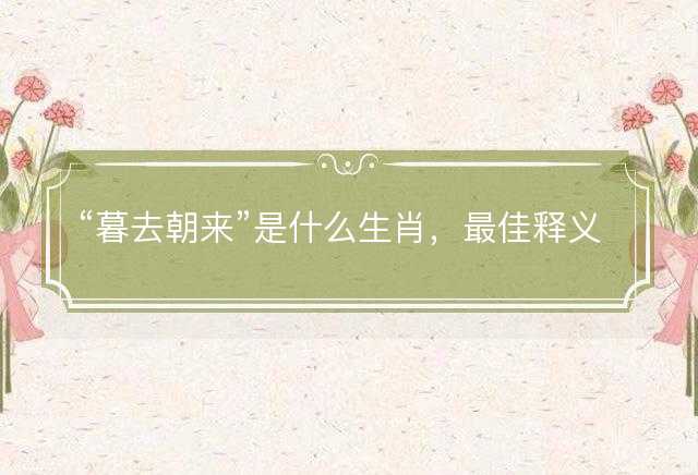 暮去朝来是什么生肖，最佳释义解释词语落实