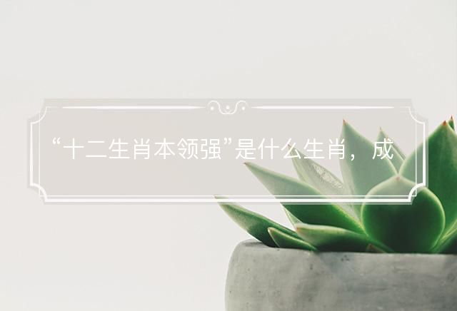 十二生肖本领强是什么生肖，成语释义解释落实
