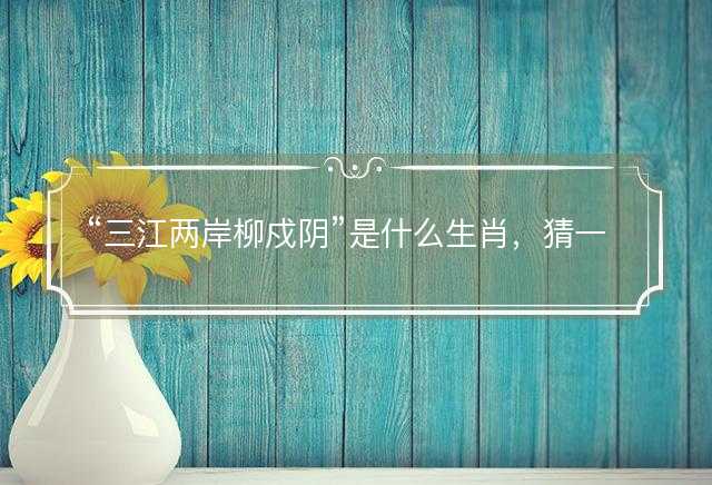 三江两岸柳戍阴是什么生肖，猜一最佳准确生肖词语解析解释释义落实