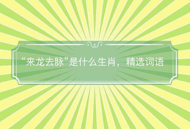 来龙去脉是什么生肖，精选词语解答释义