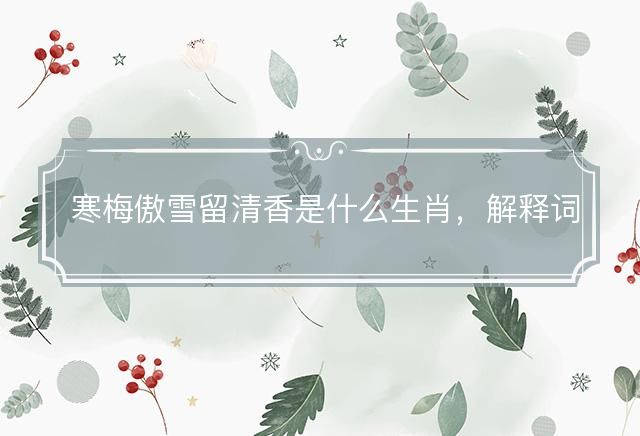 寒梅傲雪留清香是什么生肖，解释词语释义落实