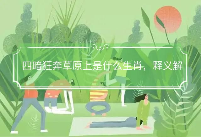 四暗狂奔草原上是什么生肖，释义解释成语落实