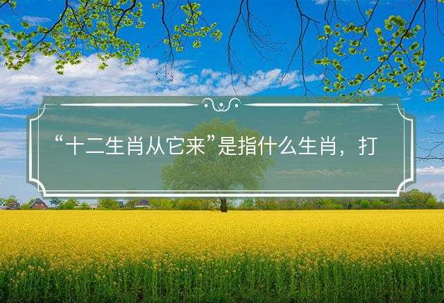 十二生肖从它来是指什么生肖，打一最佳正确生肖答案解释释义落实
