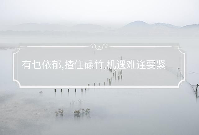 有乜依郁,揸住碌竹,机遇难逢要紧捉是什么生肖，成语作答释义落实