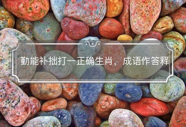 勤能补拙打一正确生肖，成语作答释义落实