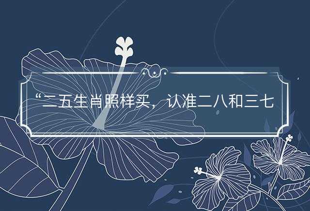 二五生肖照样买，认准二八和三七是什么生肖，释义词语解释落实