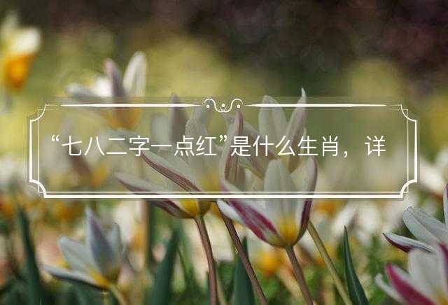 七八二字一点红是什么生肖，详细释义解释落实