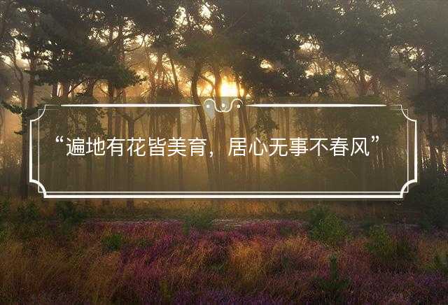 掩耳盗铃猜打一最佳正确生肖，精选解释释义落实