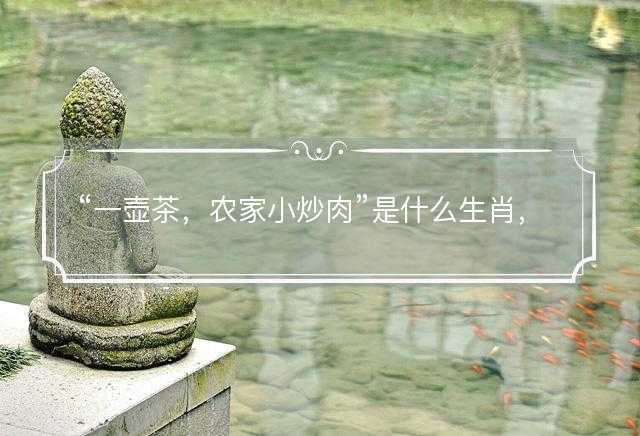 一壶茶，农家小炒肉是什么生肖，打一最佳准确正确生肖最佳答案释义解释落实