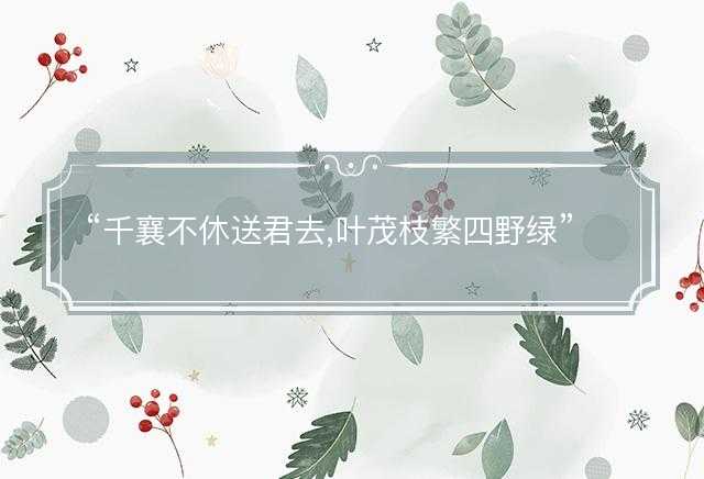 千襄不休送君去,叶茂枝繁四野绿指什么生肖，猜打一正确生肖最佳词语解释落实