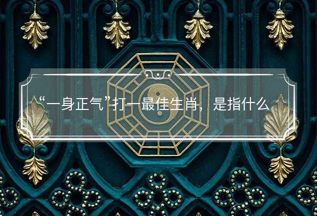 一身正气打一最佳生肖，是指什么生肖，词语解答解释落实