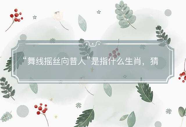 舞线摇丝向昔人是指什么生肖，猜打一最佳生肖最佳解释释义落实