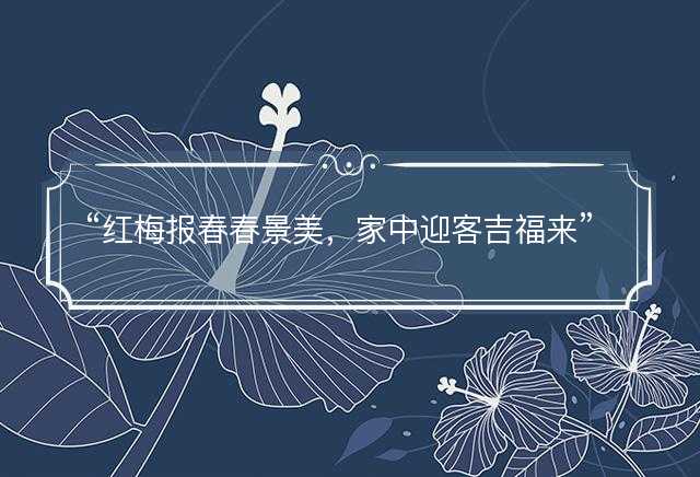 红梅报春春景美，家中迎客吉福来是什么生肖，打一准确生肖精选成语释义解释落实