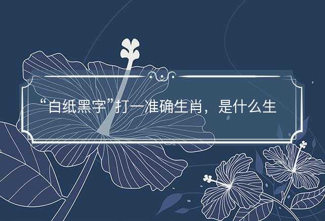 白纸黑字打一准确生肖，是什么生肖词语解释释义落实