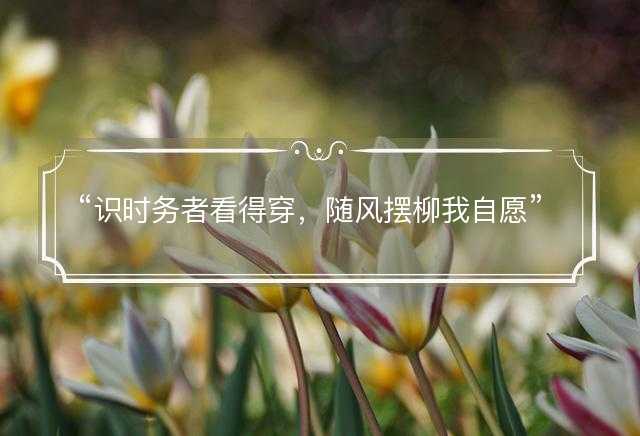 识时务者看得穿，随风摆柳我自愿代表什么生肖，打一最佳正确生肖正文解析释义解释落实